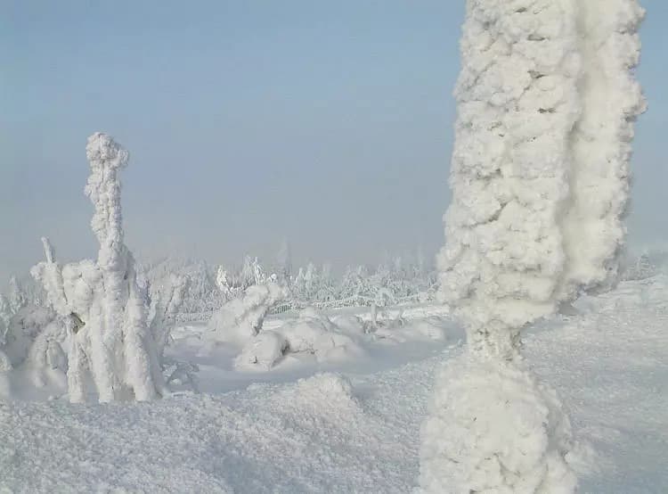 Sibirischer Fichtelberg