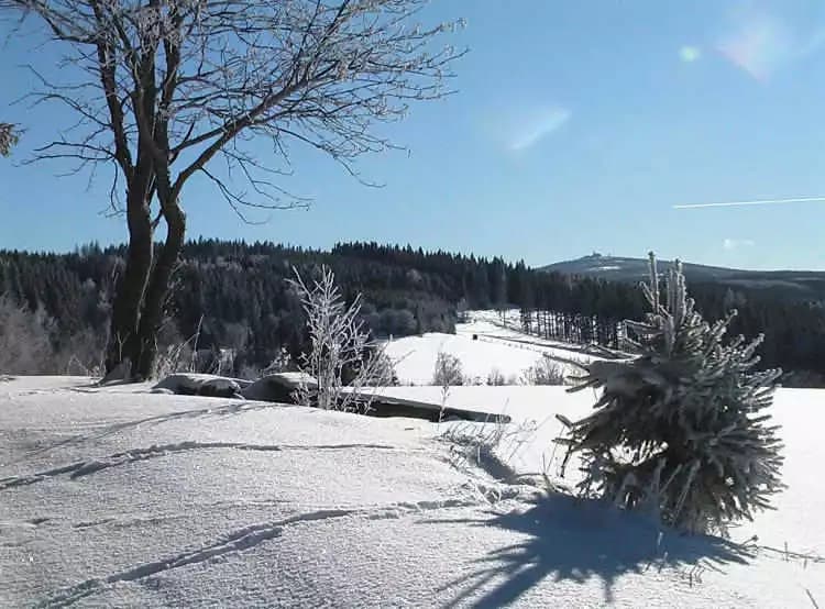 Blick zum Fichtelberg